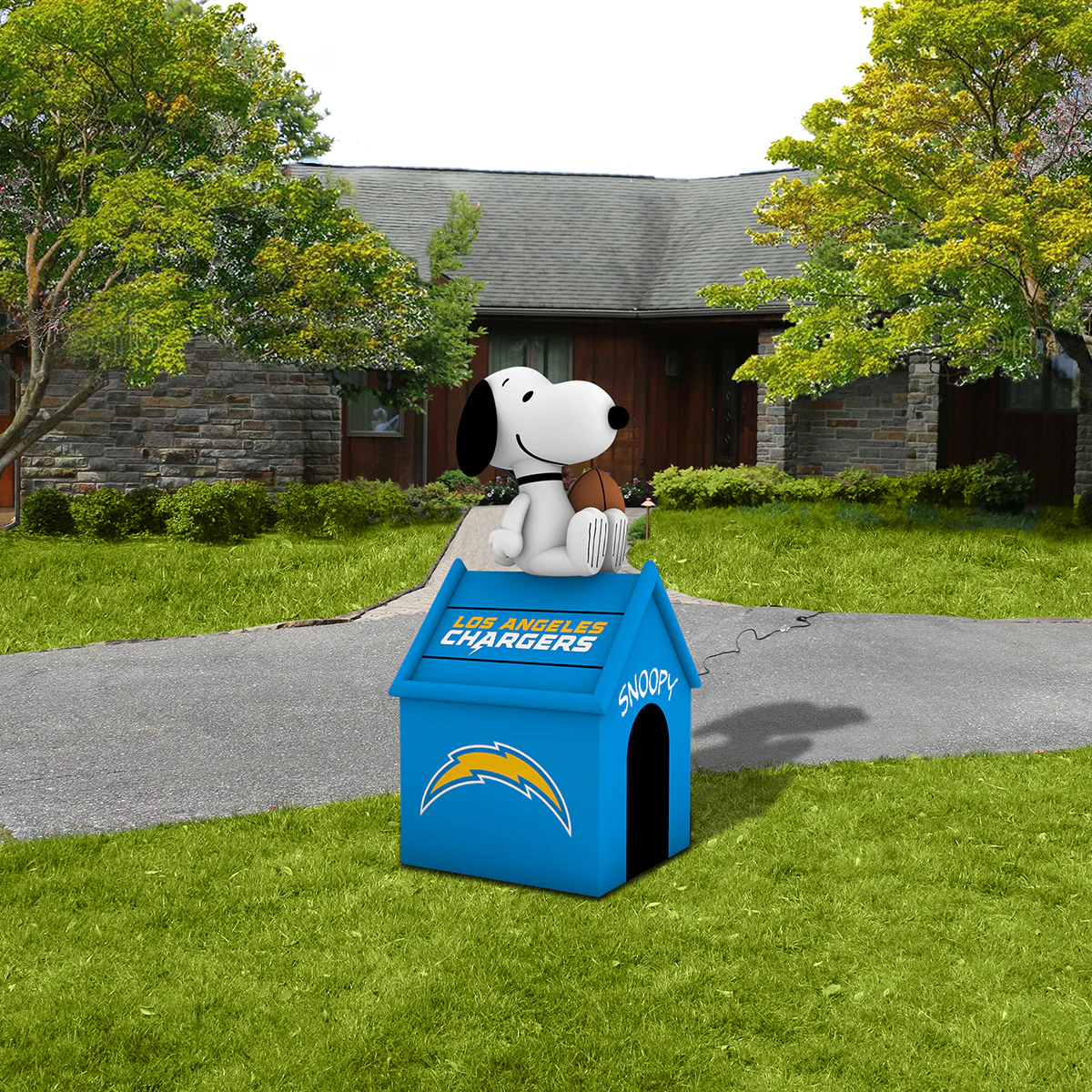 Product image 68